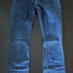 Lucky Brand Blue Flare Wide Leg Jeans